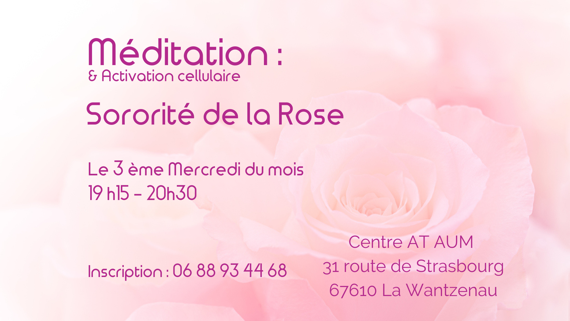 Méditation de la rose